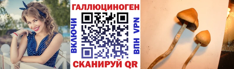 Псилоцибиновые грибы Magic Shrooms  Инза 